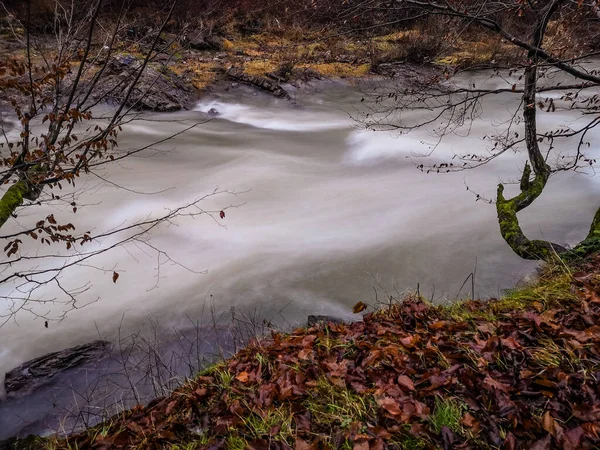 Voll Fließender Gebirgsfluss Den Karpaten — Stockfoto