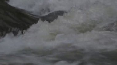 Karpat Dağları 'nda akan dağ nehri