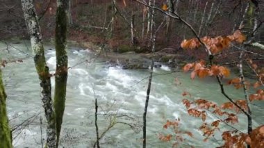 Karpat Dağları 'nda akan dağ nehri