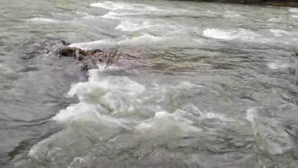 Fiume Montagna Che Scorre Nelle Montagne Dei Carpazi — Video Stock