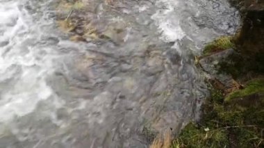 Karpat Dağları 'nda akan dağ nehri