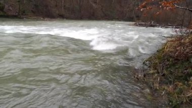 Karpat Dağları 'nda akan dağ nehri