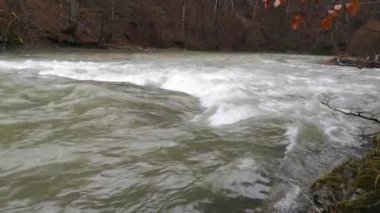 Karpat Dağları 'nda akan dağ nehri