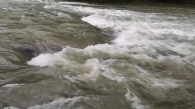 Karpat Dağları 'nda akan dağ nehri