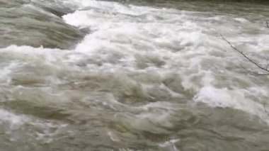 Karpat Dağları 'nda akan dağ nehri