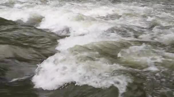 Plně Tekoucí Horská Řeka Karpatech — Stock video