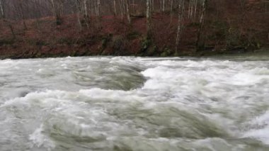  Karpat Dağları 'nda akan dağ nehri