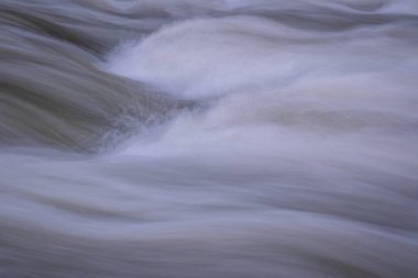 Karpat Dağları 'nda akan dağ nehri