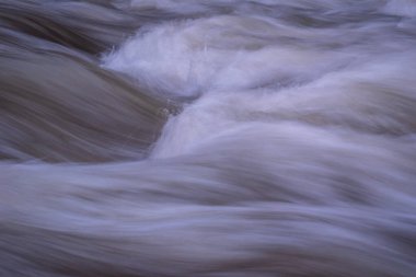 Karpat Dağları 'nda akan dağ nehri