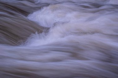 Karpat Dağları 'nda akan dağ nehri
