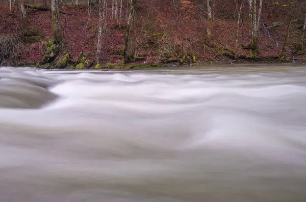 Fiume Montagna Che Scorre Nelle Montagne Dei Carpazi — Foto Stock