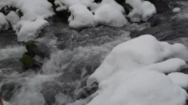 Karpat Dağları 'nda çağlayan şelale