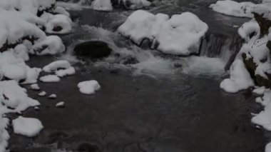 Karpat Dağları 'nda çağlayan şelale