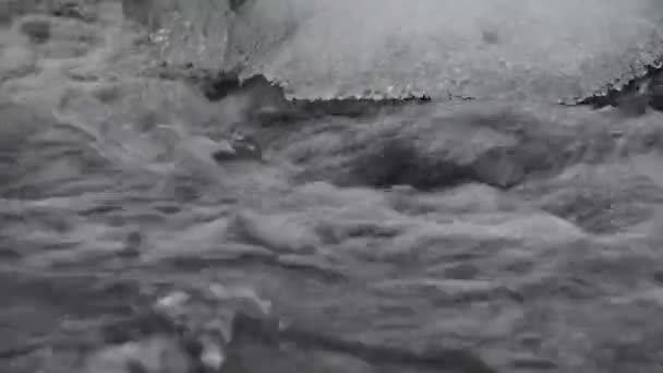 Fullt Strömmande Vattenfall Karpaterna — Stockvideo