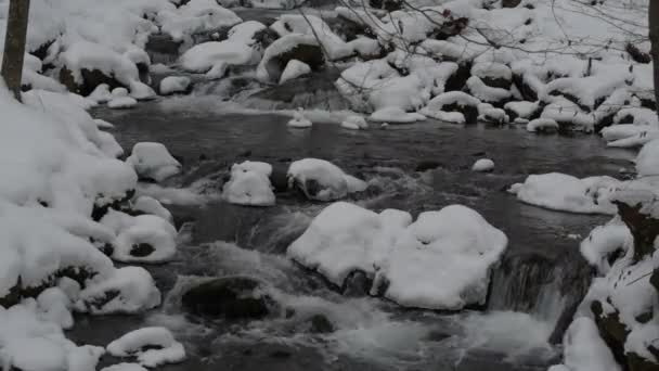 Повний Водоспад Карпатських Горах — стокове відео