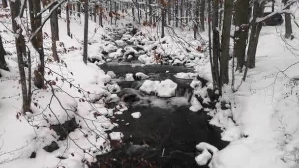 Cascata Piena Scorrimento Nelle Montagne Dei Carpazi Nevicata — Video Stock