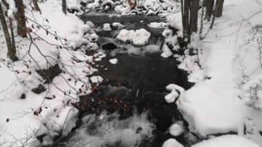 Karpatya Dağları 'nda tam teşekküllü şelale.