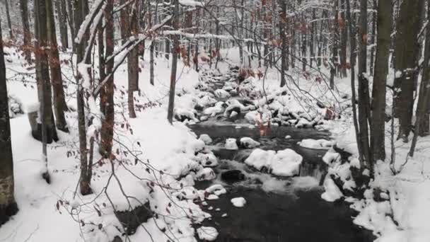 Водопад Карпатах Снегопадах — стоковое видео