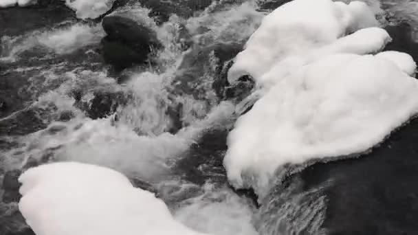Cascata Piena Scorrimento Nelle Montagne Dei Carpazi Nevicata — Video Stock