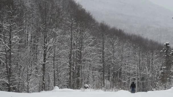 Bir Adam Kar Yağışı Altında Bir Dağ Ormanında Yürüyor — Stok video