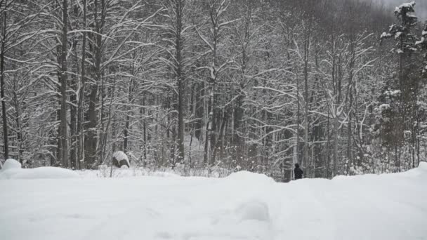 Een Man Wandelt Een Bergwoud Een Sneeuwval — Stockvideo