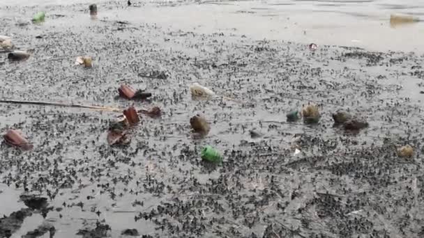 Residuos Domésticos Flotan Lago — Vídeos de Stock