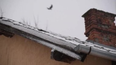 Döşemeli bir çatının arka planında kar fırtınası