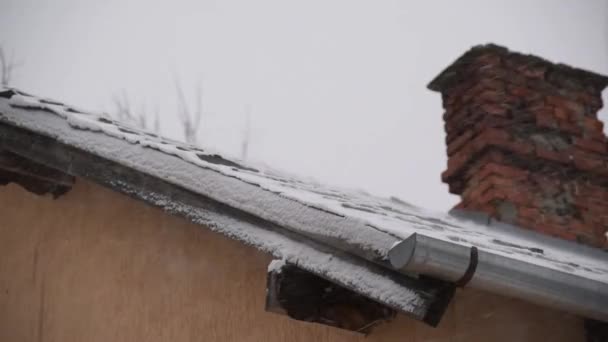 Снігова Буря Тлі Плиткового Даху — стокове відео