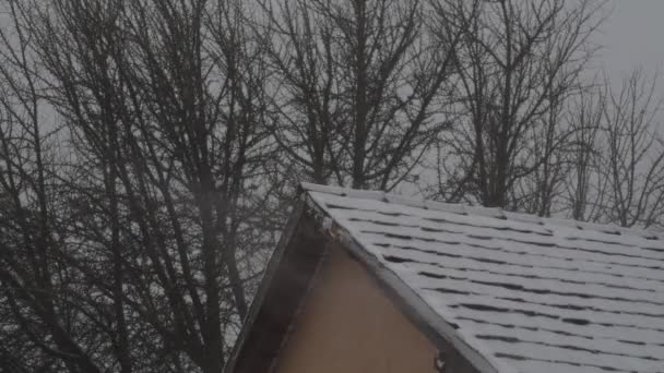 Sneeuwstorm Achtergrond Van Een Betegeld Dak — Stockvideo