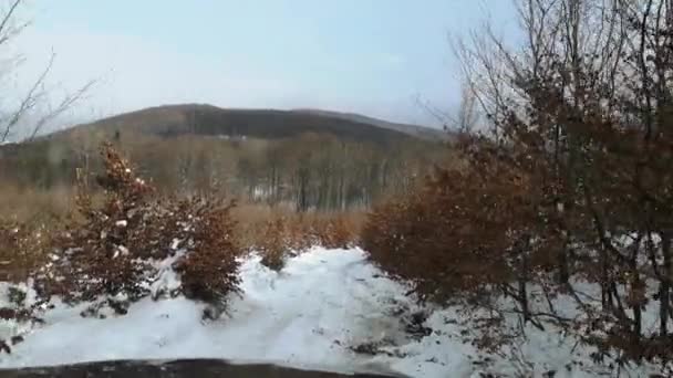 Suv Kışın Karpatlar Boyunca Seyahat Eder — Stok video