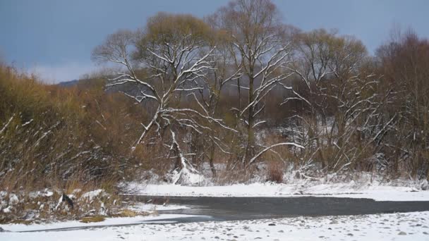 Paesaggio Inverno Fiume Montagna Soleggiato Nel Pomeriggio — Video Stock