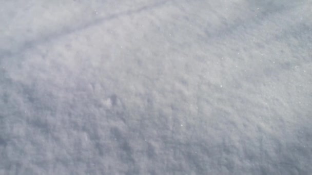 在晴朗的雪地上扮演影子 — 图库视频影像