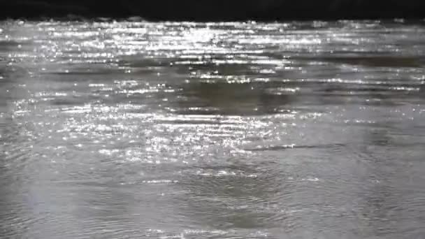 Akan Bir Dağ Nehrinin Bahar Manzarası — Stok video
