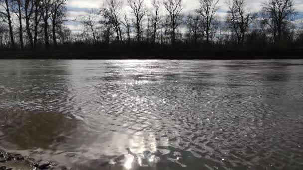 Peisajul Primăvară Unui Râu Muntos Plin — Videoclip de stoc