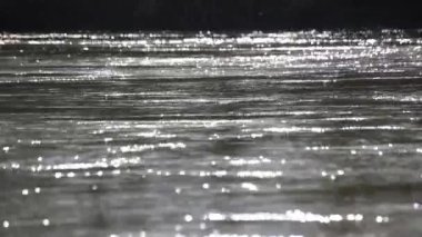 Nehrin röfleleri tarafından oluşturulan doğal bokeh