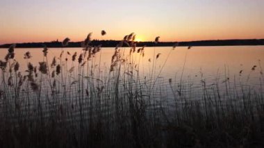 Güzel bahar günbatımının gölde zaman aşımı