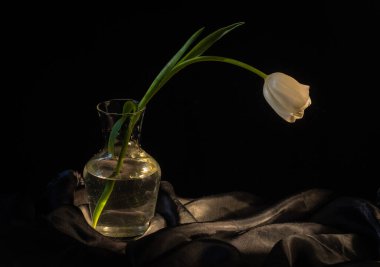 Güzel bahçe laleleri olan karanlık, sakin bir hayat.