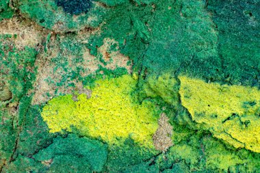 Arka plan için doğal materyalin yapısının desenli deseni