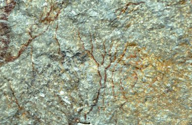 Arka plan için doğal materyalin yapısının desenli deseni