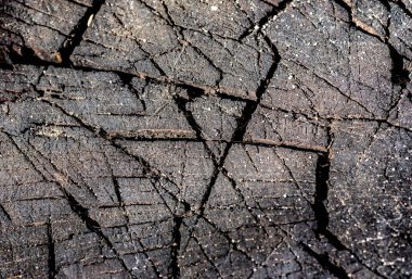 Arka plan için doğal materyalin yapısının desenli deseni