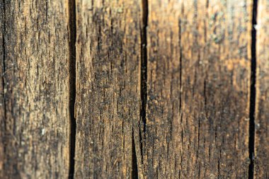 Arka plan için doğal materyalin yapısının desenli deseni