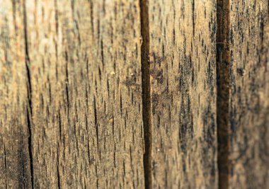 Arka plan için doğal materyalin yapısının desenli deseni