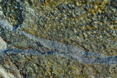 Arka plan için doğal materyalin yapısının desenli deseni