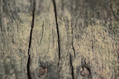 Arka plan için doğal materyalin yapısının desenli deseni