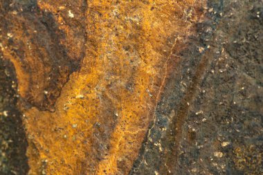 Arka plan için doğal materyalin yapısının desenli deseni