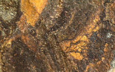 Arka plan için doğal materyalin yapısının desenli deseni