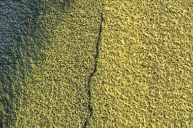 Arka plan için doğal materyalin yapısının desenli deseni