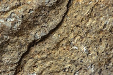 Arka plan için doğal materyalin yapısının desenli deseni