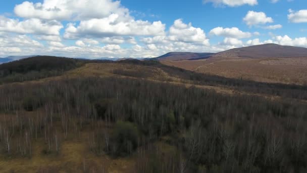 喀尔巴阡山脉春天风景的航空摄影 — 图库视频影像