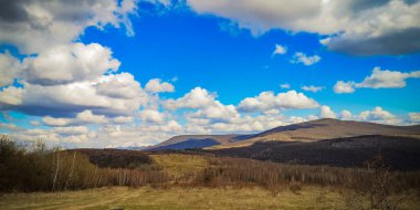 Karpat dağlarında ilkbahar manzarası